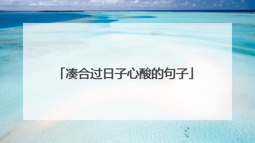 凑合过日子心酸的句子