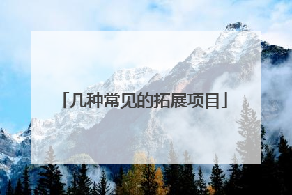 几种常见的拓展项目