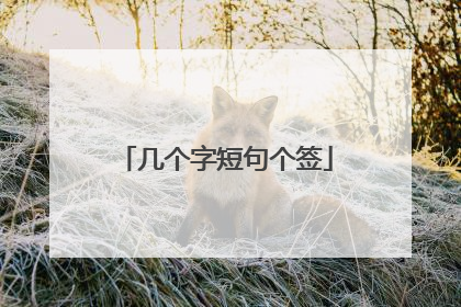 几个字短句个签