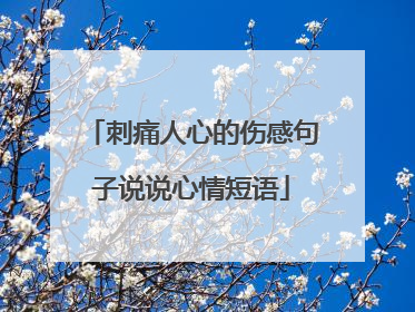 刺痛人心的伤感句子说说心情短语