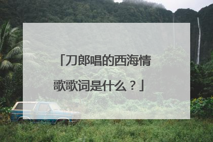 刀郎唱的西海情歌歌词是什么？