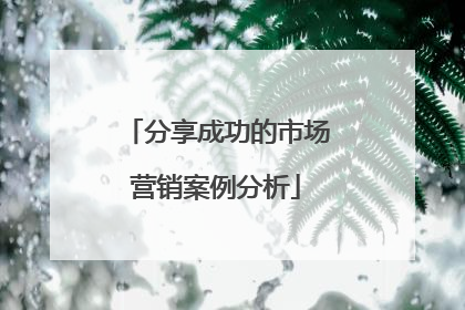 分享成功的市场营销案例分析