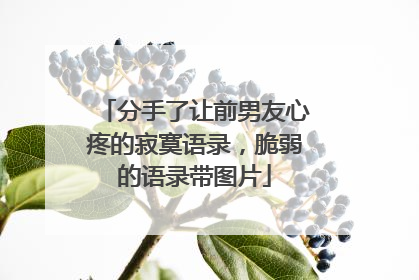 分手了让前男友心疼的寂寞语录，脆弱的语录带图片
