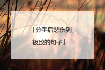 分手后悲伤到极致的句子