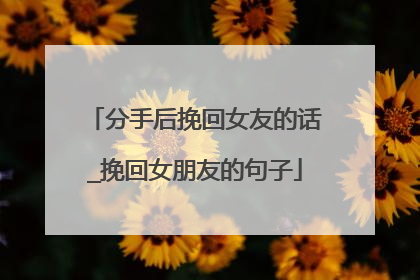 分手后挽回女友的话_挽回女朋友的句子