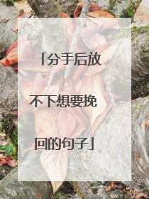 分手后放不下想要挽回的句子