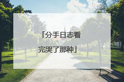 分手日志看完哭了那种