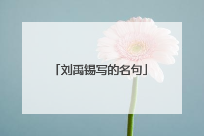 刘禹锡写的名句