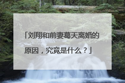 刘翔和前妻葛天离婚的原因，究竟是什么？