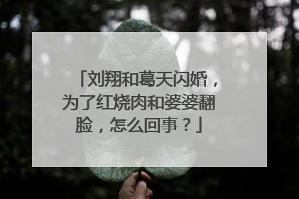 刘翔和葛天闪婚，为了红烧肉和婆婆翻脸，怎么回事？