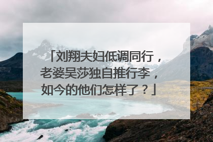 刘翔夫妇低调同行，老婆吴莎独自推行李，如今的他们怎样了？