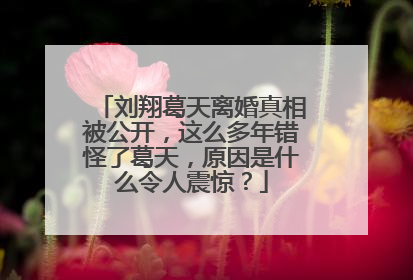 刘翔葛天离婚真相被公开，这么多年错怪了葛天，原因是什么令人震惊？