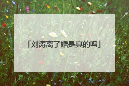 刘涛离了婚是真的吗