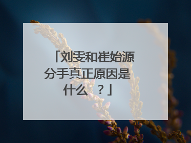 刘雯和崔始源分手真正原因是什么 ？