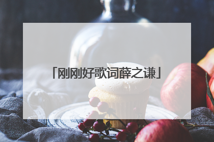 刚刚好歌词薛之谦