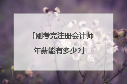 刚考完注册会计师年薪能有多少?