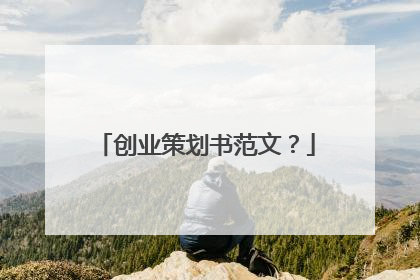 创业策划书范文?
