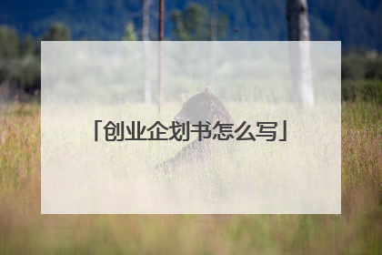创业企划书怎么写