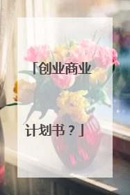 创业商业计划书？