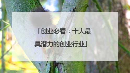 创业必看：十大最具潜力的创业行业