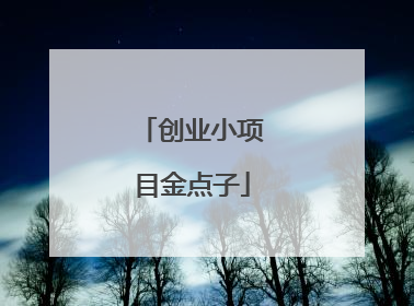 创业小项目金点子
