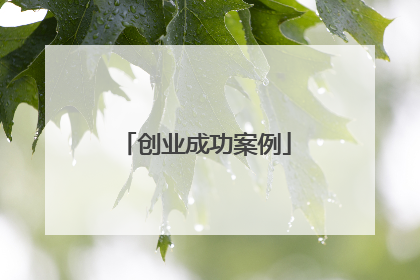 创业成功案例