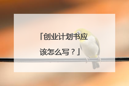 创业计划书应该怎么写?
