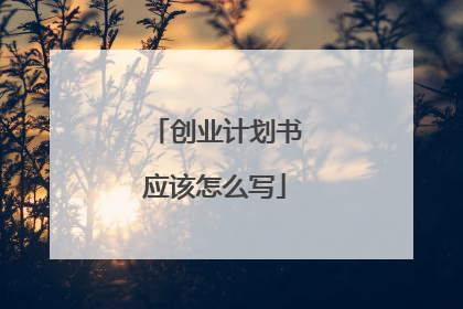 创业计划书应该怎么写