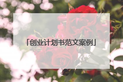 创业计划书范文案例