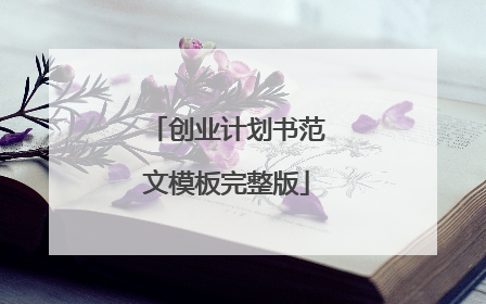 创业计划书范文模板完整版