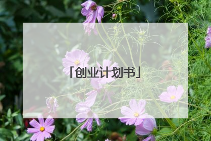 创业计划书