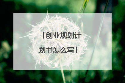 创业规划计划书怎么写