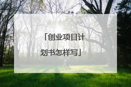 创业项目计划书怎样写