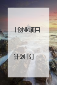 创业项目计划书