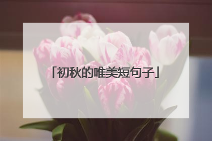 初秋的唯美短句子