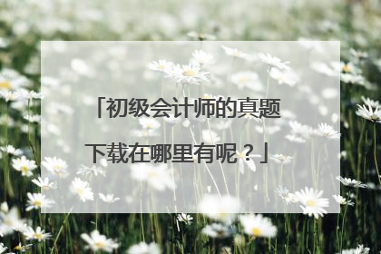 初级会计师的真题下载在哪里有呢?