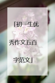 初一生优秀作文五百字范文