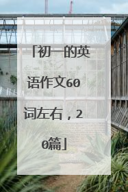 初一的英语作文60词左右,20篇