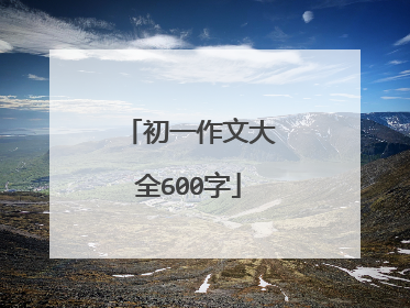 初一作文大全600字