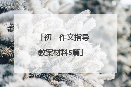 初一作文指导教案材料5篇