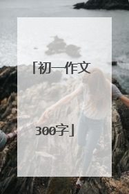 初一作文300字