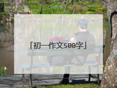 初一作文500字