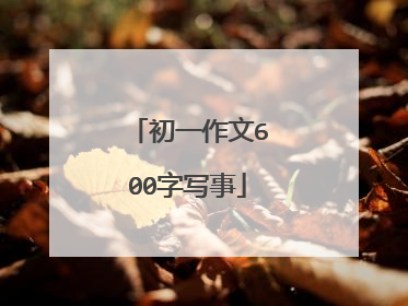 初一作文600字写事