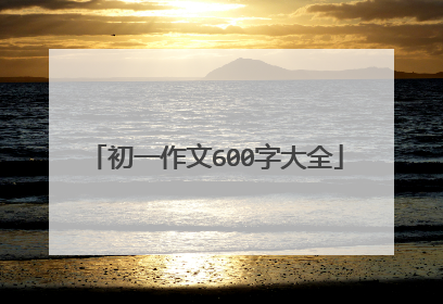 初一作文600字大全