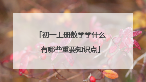 初一上册数学学什么 有哪些重要知识点