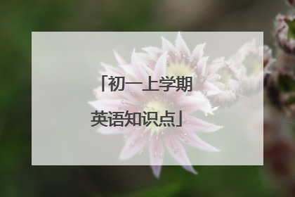 初一上学期英语知识点