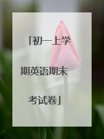 初一上学期英语期末考试卷