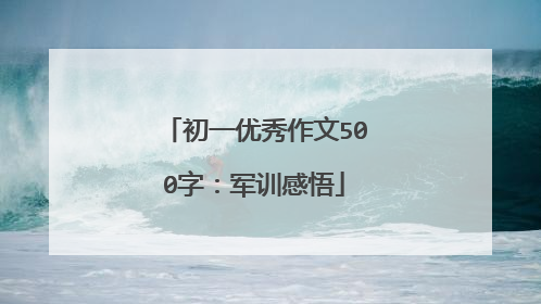 初一优秀作文500字:军训感悟