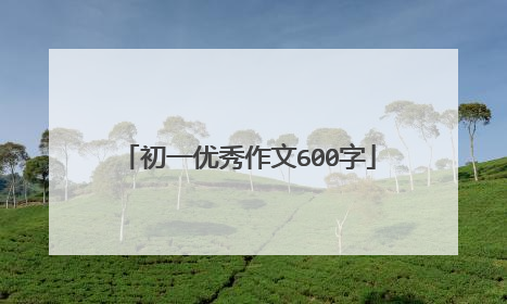 初一优秀作文600字