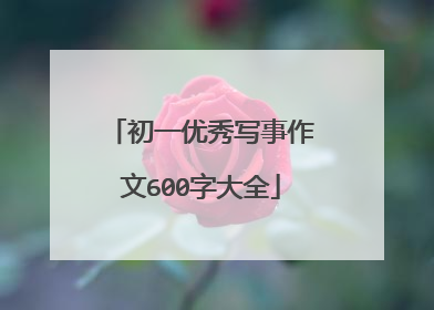初一优秀写事作文600字大全